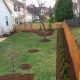 design-planting-shrubs-trees-fencing-after-2