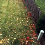 design-planting-shrubs-trees-fencing-before-1